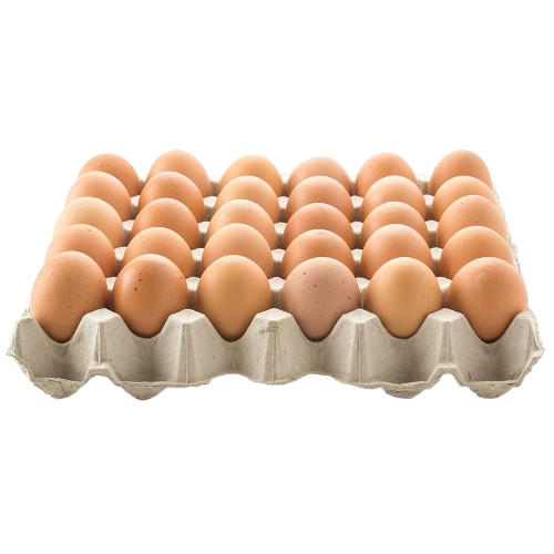 30 Extra Large Eggs (Tray)